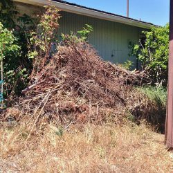 Yard_Debris Yard_Debris